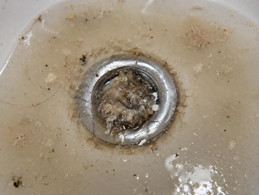  Sink drain clogged with debris, hair, and standing dirty water